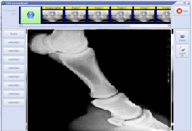 ArchiMED Suite Gestione integrata per lo Studio Veterinario Pag. 31 Fig. 4.