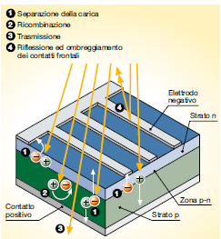 Quando la cella è esposta alla luce, per effetto fotovoltaico, vengono a crearsi delle coppie elettrone-lacuna sia nella zona N che nella zona P.