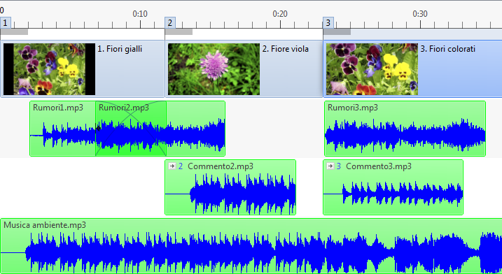 PicturesToExe accetta i file audio del tipo Mp3, Ogg, Wav, Wma. I file sono integrati in una presentazione nel loro formato originale; non viene eseguita quindi alcuna conversione.