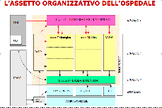 5) Area Acuti: Forlì 5) Ospedale per intensità di cura Il modello toscano L Ospedale per intensità di cure prevede la segmentazione logistico-funzionale sulla base di due parametri: 1.