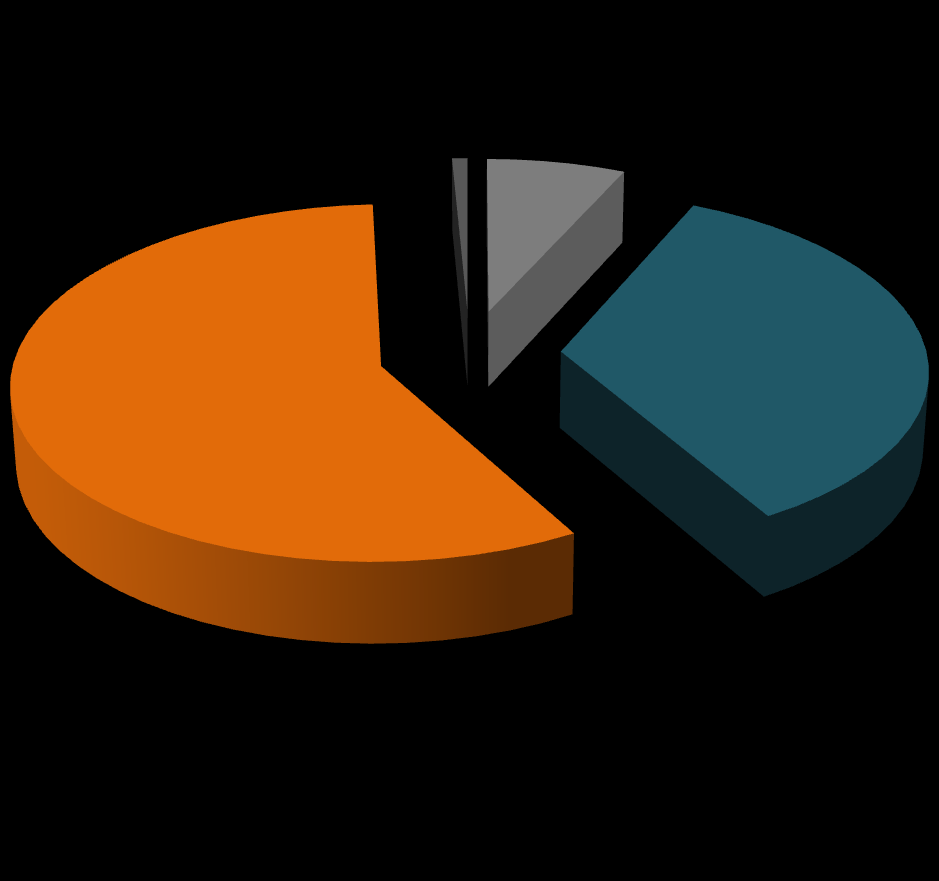 Partecipazione alla rilevazione anagrafica Consistenza della rilevazione per Ente di provenienza Tasso di risposta: 40% (9 rispondenti) 2,74% (47 rispondenti) 14,28% STRUTTURA PROVENIENZA Numero