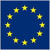 Regolamento (UE) n 995/2010 European Union Timber Regulation (EUTR) Regolamento sulla Due Diligence Regolamento sul legno illegale.