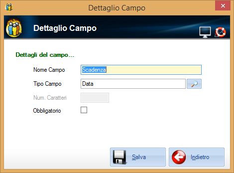 Per creare un nuovo campo, cliccare su Nuovo. Viene visualizzata la finestra che consente di specificare le caratteristiche del campo.