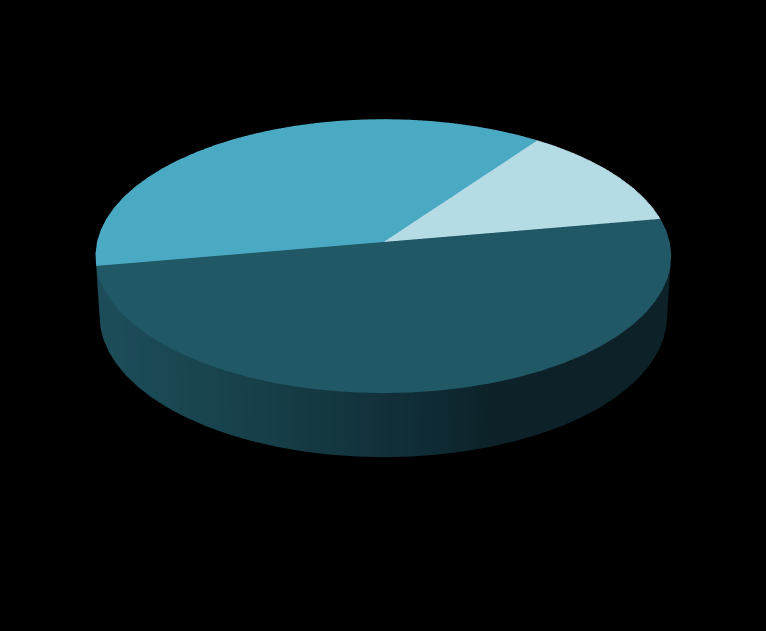 Eventi e manifestazioni (n.154) 38% 12% Giovani, creatività, internazionalizzazione Arti 50% Made in Bergamo Arti Made in Bergamo Giovani, creatività e internazionalizzazione a.