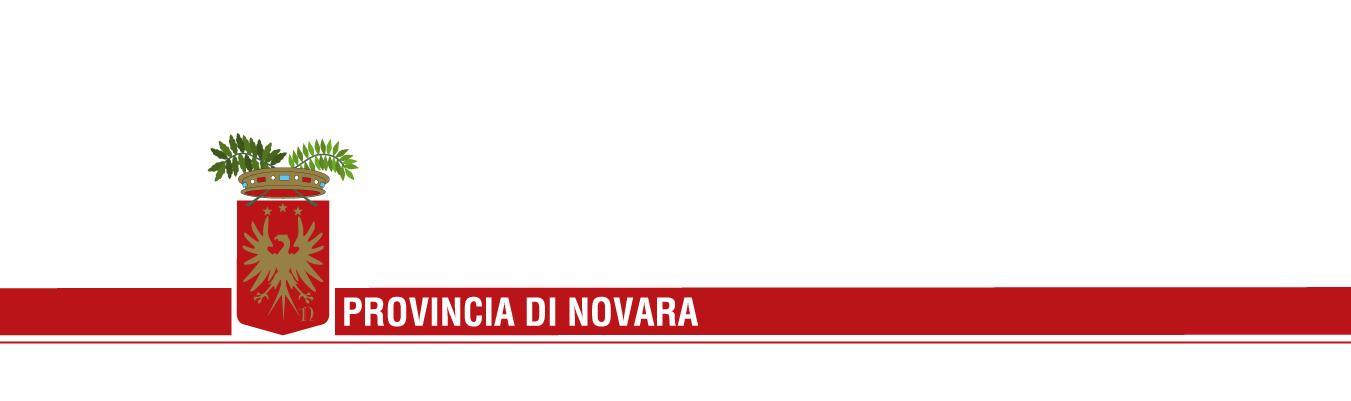 Assessorato alle Politiche Giovanili BANDO APQ 2010 Art.1 Oggetto del bando 1.