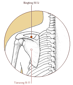 SI 12 - Bĭng Fēng (GUARDIANO DEL VENTO) Bĭng (Ricci 4091): tenere in mano, mantenere Fēng (Ricci 1596): vento punto Vento punto di riunione con i meridiani principali di Vescica e Triplice