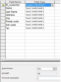 ITdeskinfo Progetto informatico di e-education a libero accesso data Integer e AutoValue è settato su Sì (Yes) il che sta a significare che quando immetterai dati, il sistema genererà un unico