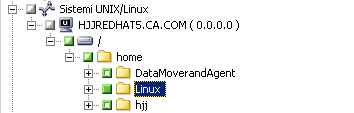 Ripristino dei dati 3. Espandere l'oggetto dei sistemi UNIX/Linux. Localizzare il server UNIX o Linux e selezionare i dati che da ripristinare. Fare clic sulla scheda Destinazione.