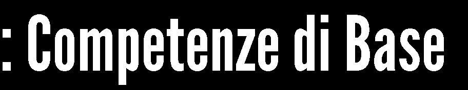 Il corso Penetration Testing Student v2 è diviso in due grandi sezioni. La prima: Competenze di base. La seconda: Penetration Testing.