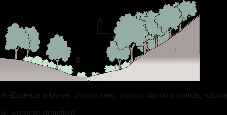 cenosi mesofile più stabili.