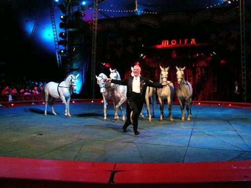 Salutiamo Gerd e Marietta Koch 29.05.2013 12 Gerd e Marietta Koch hanno lasciato il Circo Moira Orfei e sono ritornati in Germania.