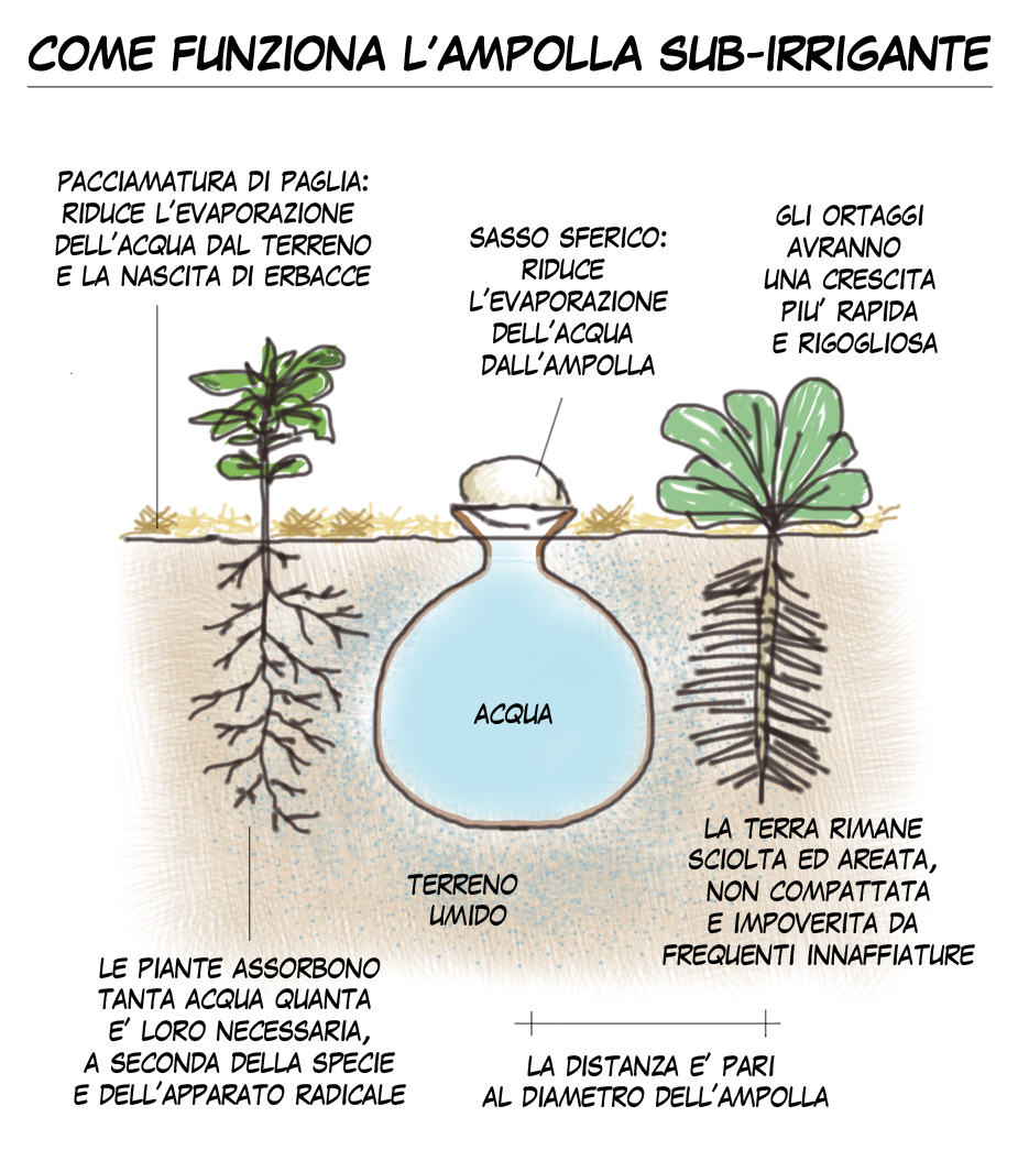 Irrigazione con ampolle sub-irriganti, una tecnica per risparmiare acqua L'irrigazione con ampolle interrate é un antica tecnica utilizzata in diverse aree del pianeta come Cina, Pakistan, India,