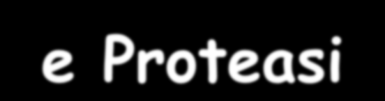 Interazioni tra Proteina C, Mieloperossidasi e Proteasi - C-Reactive Protein Stimulates Myeloperoxidase from Polymorphonuclear Cells and Monocytes: implications for Acute Coronary Syndromes (Singh et