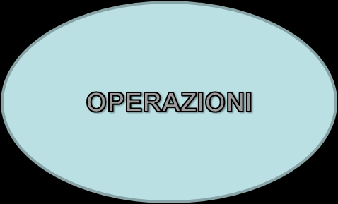 SEZIONE RELATIVA AL CONTENUTO