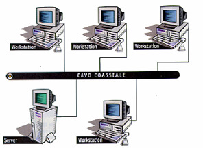 computer in un area non più grande di un palazzo. collega i computer di un laboratorio, gruppo di lavoro, ufficio, ditta.