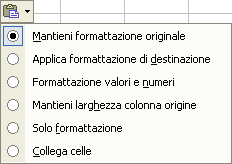 digitate corrispondono a un'immissione esistente, nella colonna che comprende la cella, la parte di testo rimanente verrà completata automaticamente.