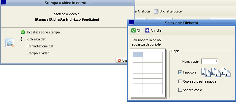 Stampa etichette buste Attraverso questa stampa è possibile generare le etichette con gli indirizzi dei destinatari delle spedizioni da apporre sulle buste.