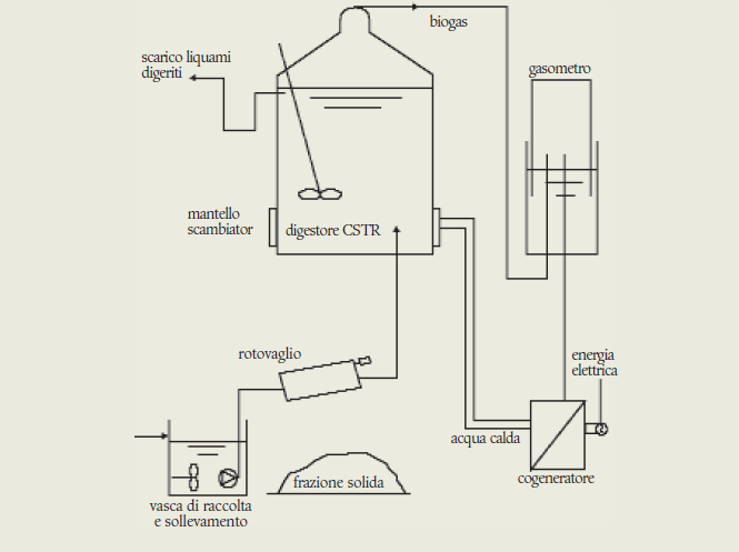 CODIGESTORE DI LIQUAMI E ALTRE COLTURE ENERGETICHE O