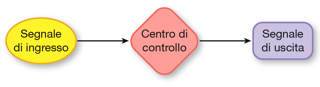 Meccanismi di controllo omeostatico Dispositivi per mantenere o restaurare l