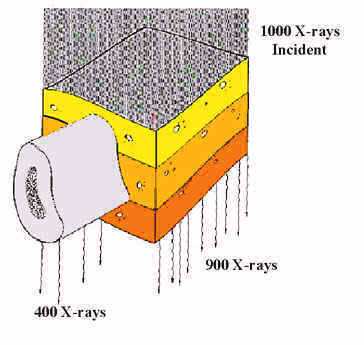 differenze nell intensità di Rx trasmessi Contrasto osso-tessuto 0.4 (900-400)/900 = 0.56 30 I x 1/9/2005 A.