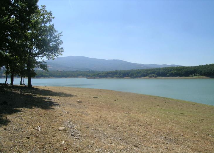 L'acqua scorre... Va dove vuole andare e niente le si può opporre. L'acqua è paziente.