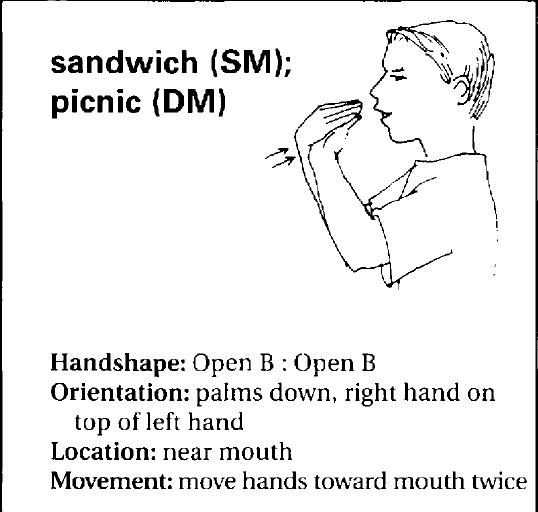 Mentre nelle lingue vocali il legame fonema-significato è del tutto arbitrario, sembrerebbe che nelle lingue dei segni il rapporto configurazione-significato non lo sia.