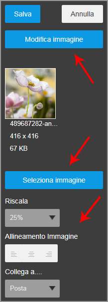 Widget Testo Per inserire un testo modificabile, posizionarsi sulla pagina desiderata tramite il menù a sinistra e