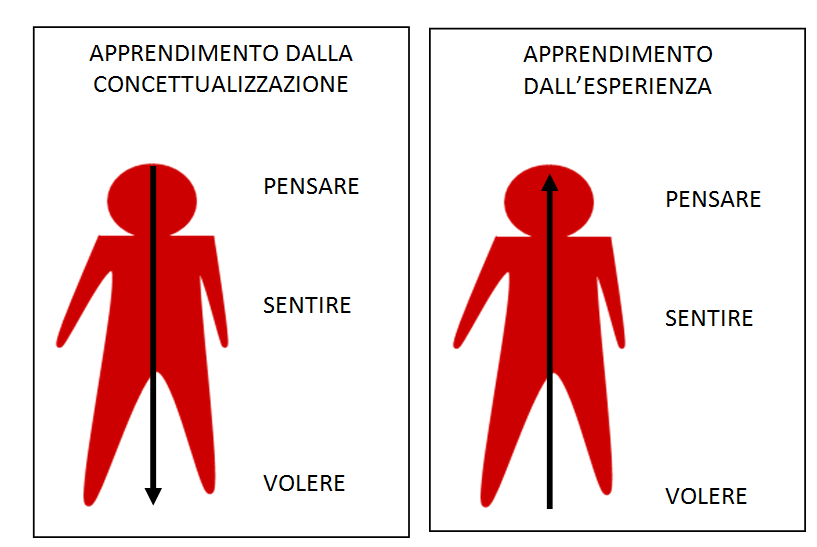 Fig.1 L ottica evolutiva dell uomo e dell organizzazione ed il loro interagire come sistemi complessi, permettono di individuare nell azione sperimentale che l individuo realizza, un momento chiave