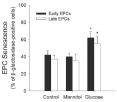 High glucose impairs early