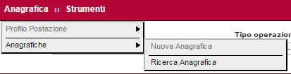 Prima di procedere con l inserimento dei documenti all interno del sistema, l utente che usufruisce di tale servizio dovrà controllare che tutte le informazioni necessarie siano inserite a sistema.