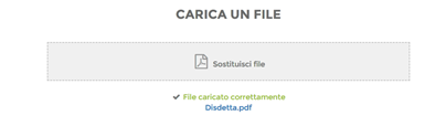 Nel caso si desideri sostituire il file caricato, è suffciente cliccare nuovamente sull area evidenziata in grigio nella quale è presente il titolo SOSTITUISCI FILE.