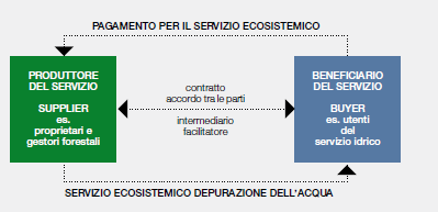 Relazioni tra produttori e beneficiari di SE es.