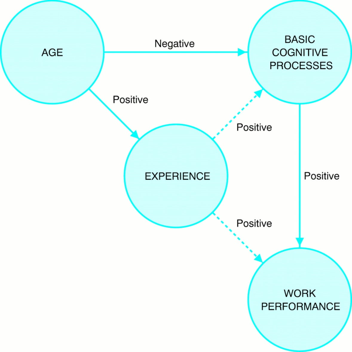 RELAZIONI TRA ETA, ESPERIENZA E PRESTAZIONE LAVORATIVA ETA PROCESSI COGNITIVI ELEMENTARI ESPERIENZA