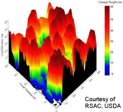 determinazione LiDAR biomasse: area based V = a 1 + b 1 (Σ h