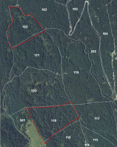 determinazione LiDAR biomasse: area based stima diretta dei volumi legnosi dei comparti: il modello di Paneveggio cavallettamento totale accurato con soglia diametrica a 17,5 cm (fine settembre 2010)