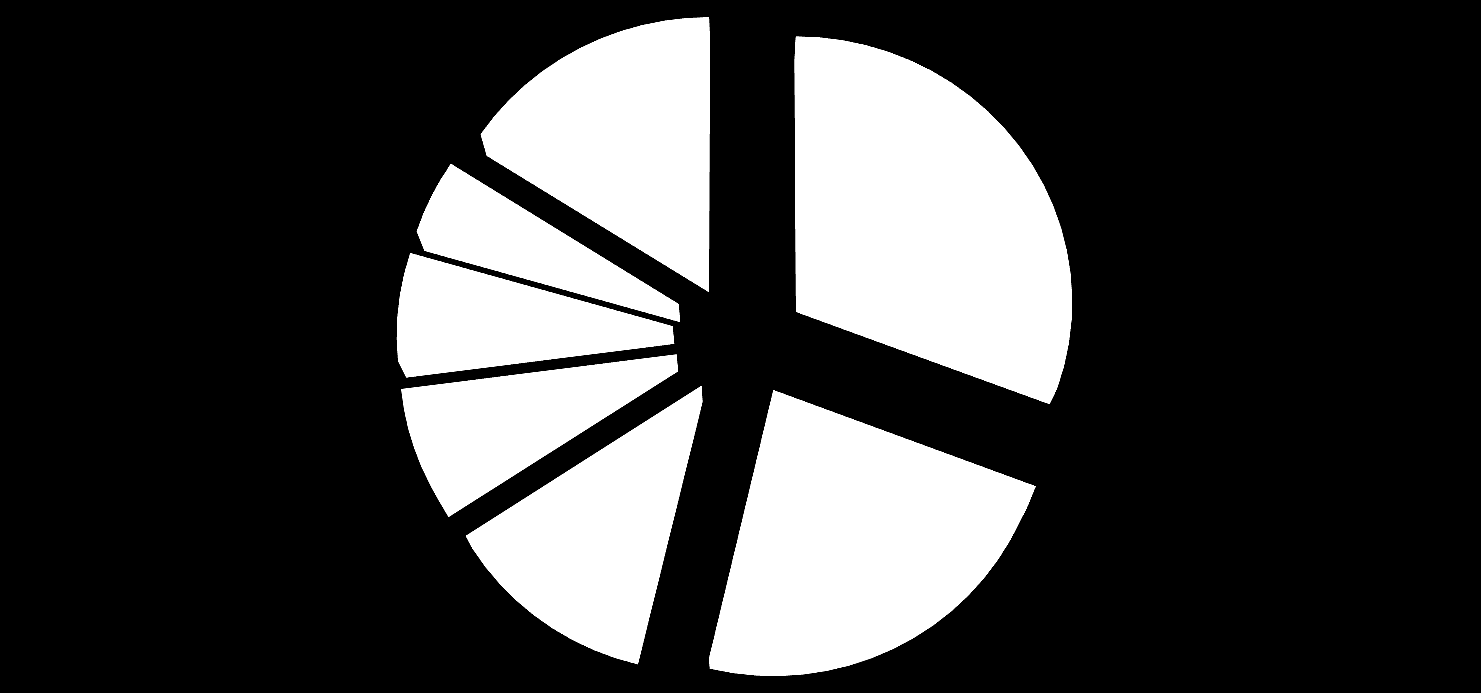 Con riferimento alla forma tecnica delle transazioni segnalate non si riscontrano novità significative rispetto a quanto rilevato negli anni precedenti.