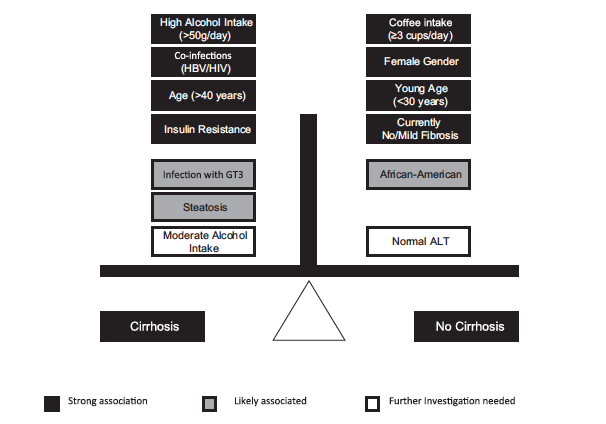 Factors that influence the progression to