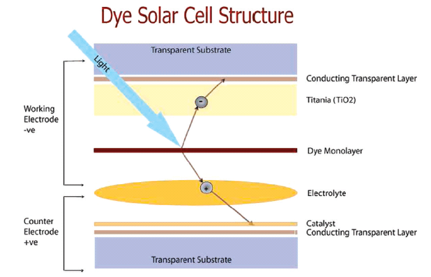 2009, 42, 1788-1798) Il meccanismo di funzionamento è riassunto in Figura 4. Un colorante organico o organometallico (S) assorbe la luce del sole passando al suo stato eccitato S*.