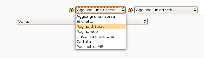 Pagina di testo Permette di inserire