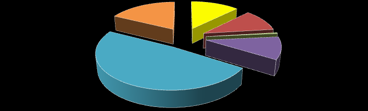 Aderenza al Percorso Diagnostico Terapeutico Assistenziale (ad 1 anno) PDTA 18% 12% 11% Controllo annuale del piede non eseguito ECG annuale non eseguito 0% Altro 49% 10% Esame annuale