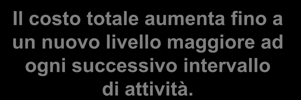 Costo Programmazione e controllo - Ray H. Garrison, Eric W. Noreen, Peter C.