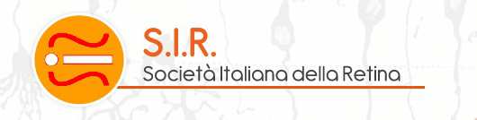 in collaborazione con In occasione del CONGRESSO NAZIONALE SIR 2012 Programma SIMPOSIO SATELLITE Dagli studi clinici alla pratica clinica quotidiana: aggiornamenti nella terapia dell edema maculare