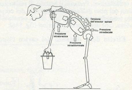 Variazione dei carichi discali nei movimenti Le pressioni intratoracica e intraddominale offrono una