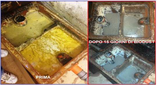 PRIMA E DOPO IL TRATTAMENTO BIODUST Fossa settica o biologica e trappola grassi. Le figure schematizzate rappresentano: (Fig.