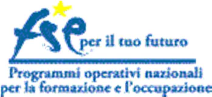 Programma Operativo Governance e Azioni di Sistema FSE 2007 2013 Obiettivo 1 Convergenza Asse E Capacità istituzionale Progetto di supporto e affiancamento operativo in favore degli Enti Pubblici