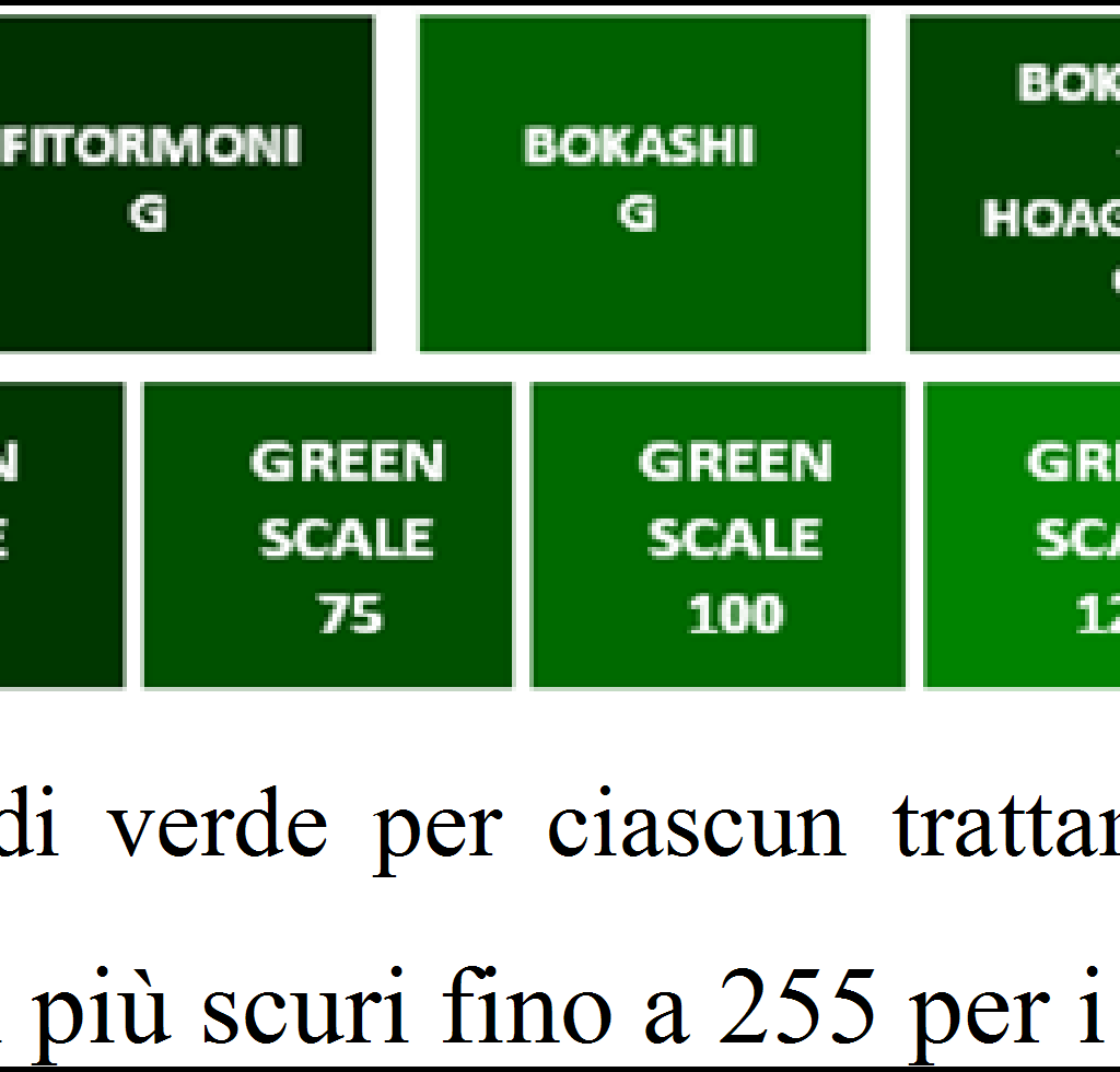 L analisi dell'intensità del verde ha permesso di rilevare come i trattamenti con Bokashi ed EM1 determinino una colorazione di verde più chiaro rispetto al controllo, con valori rispettivamente pari