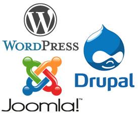 Primi Passi Potendo scegliere tra WordPress, Drupal o Joomla, li abbiamo provati tutti, verificando, per quello che era di nostro interesse, quale fosse il più utile e semplice da usare.