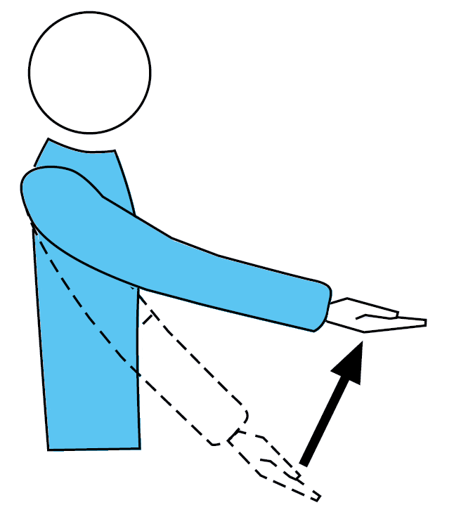 SEGNALETICA UFFICIALE DEGLI ARBITRI 11.8 SQUALIFICA Mostrare entrambi i cartellini separatamente nelle due mani per la squalifica. P R. 21.3.3, 21.6, 23.3.2.2 11.