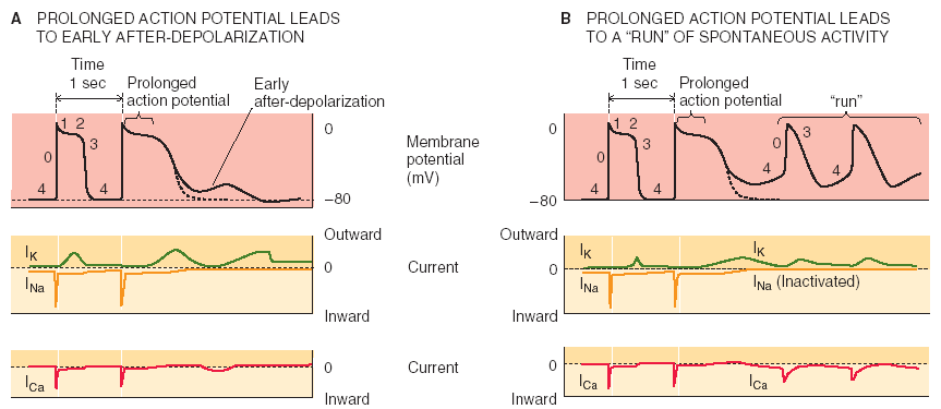 Extended phase two