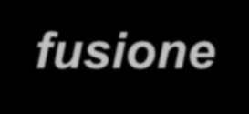 FUSIONE: principio fisico Se un nucleo di D (Deuterio) fonde con un nucleo di T (Tritio), viene prodotta una particella α (carica positiva di un nucleo di He (Elio), costituita da due protoni e due